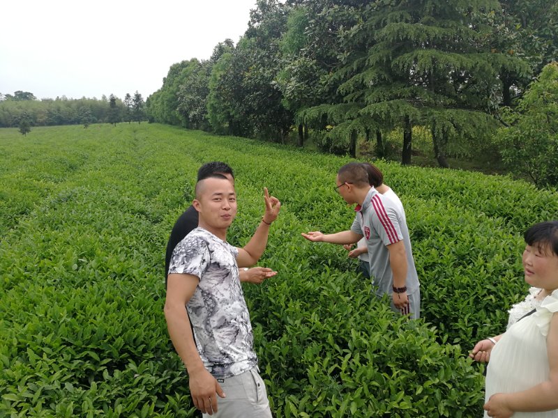 信誉联盟货架